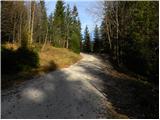 Planica (Planinšek) - Planina Podvežak